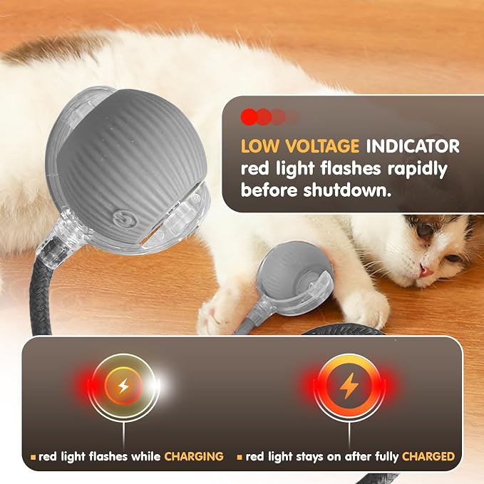 Rocfish Durable Interactive Cat Toys for Indoor Cats (Grey, 01) | Smart Automatic Cat Chase Ball Toy, Upgraded Speedy Tail Kitten Toy for Bored Indoor Adult Pets - Image 7