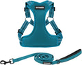 Best Pet Supplies Voyager Adjustable Step-in Flex Breathable Mesh Dog Harness for Small Medium Large Dogs Leash Set (Turquoise), M by BestPetSuppliesLLC