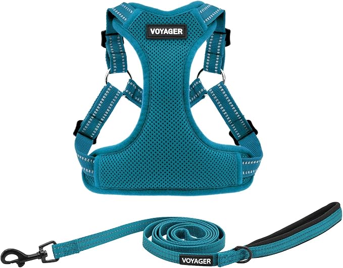 Best Pet Supplies Voyager Adjustable Step-in Flex Breathable Mesh Dog Harness for Small Medium Large Dogs Leash Set (Turquoise), M by BestPetSuppliesLLC