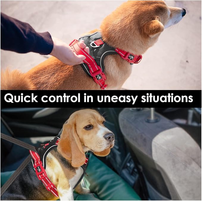 No Pull Dog Harness, Unique Colors Reflective Adjustable Dog Vest | with Soft Training Handle Metal Clips for Small Medium Large Dogs (Black Base & Red Straps,L) - Image 5