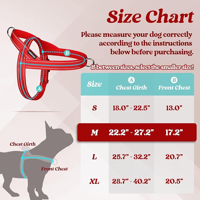 rabbitgoo Dog Harness No Pull, Quick Fit for Medium Sized Dog, Reflective | Chest Adjustable Pet Vest with Soft Padded Handle, No Choke Escape Proof for Walking Training, Red M - Image 2