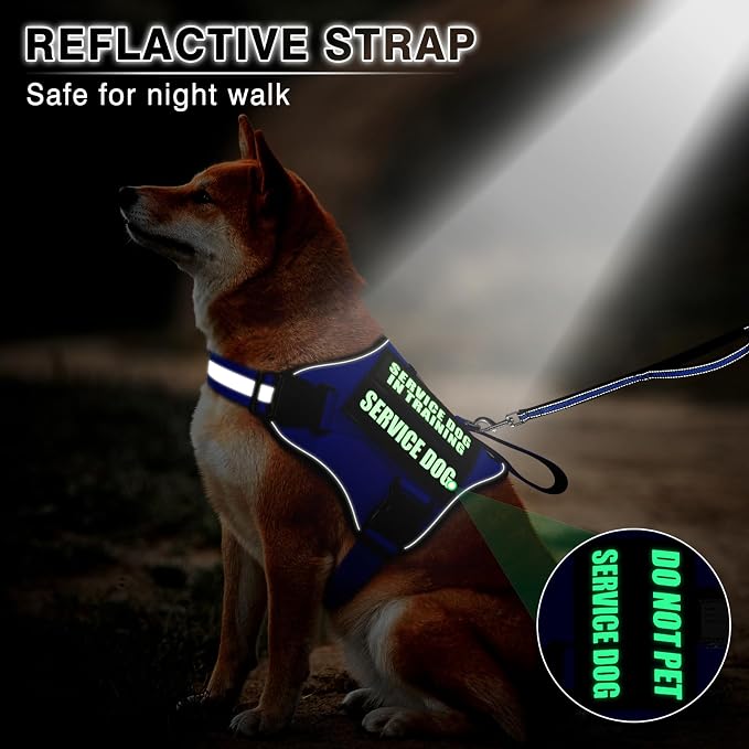 Service Dog Vest Harness and Leash Set+10 Patches,No Pull&Easy Walk Reflective Dog Harness with Soft Padded Handle for Training/Everyday,Fit Small/Medium/Large/Extra-Large Dogs (Blue L) | No Pull&Adjustable Reflective Dog Harness Large Sized,Dog Leash ... - Image 3