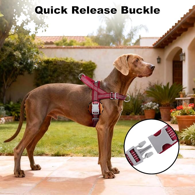 No Pull Dog Harness with Handle, Adjustable Soft Mesh Padded Vest | Reflective Walking Harness with Front Clip for Small Medium Large Dogs, Quick Fit No Escape for Training, Red, L - Image 6