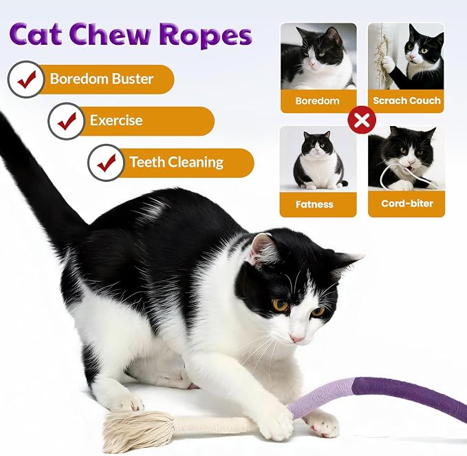 Cat Toys for Indoor Cats, Kitten Toys for Indoor Kittens, Catnip Rope Chew Toys for Teeth Cleaning, Interactive Cat String Toy, Kitty Kicker Toy, 3 Pack (Plus 3 Pouches of Catnip) - Image 3
