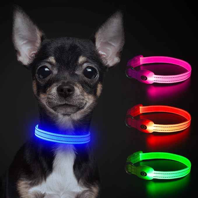 YFbrite LED Dog Collar XS, Lightweight Cat Collar Light, Comfortable Light Up Puppy Collars, USB Rechargeable Adjustable Puppy Walking Safety Light (Blue, XS) - Image 2