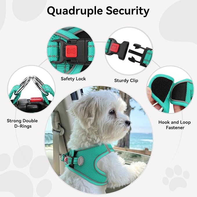Joytale Step-in Dog Harness, Soft Breathable Mesh, Teal XXS | Adjustable Fit for Small Dogs, Easy Step-in with Secure Fastener, Even Chest Pressure, Reflective For Night Safety, Washable - Image 6