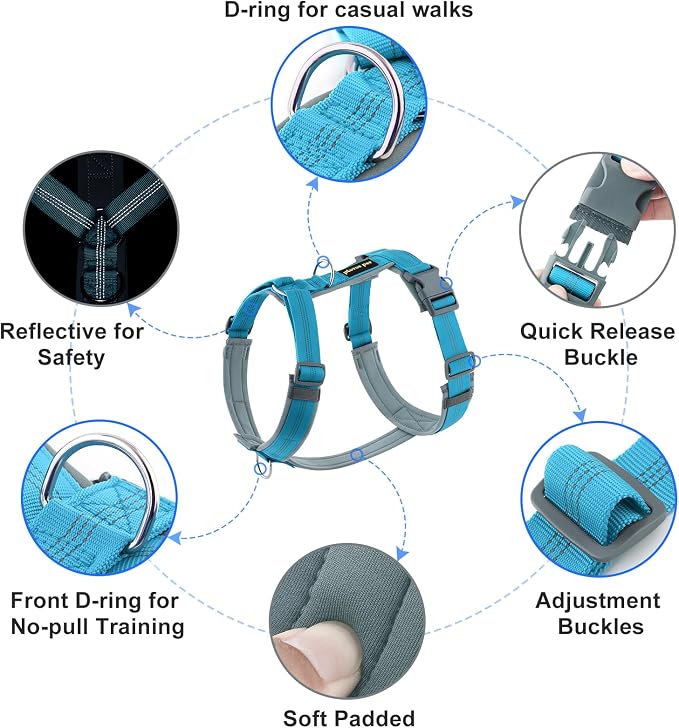 Plutus Pet No Pull Dog Harness, Adjustable Nylon Harness with Soft Padding | Reflective with Front Clip, Heavy Duty for Training and Walking, for Small Medium Large Dogs, Cyan, L - Image 2