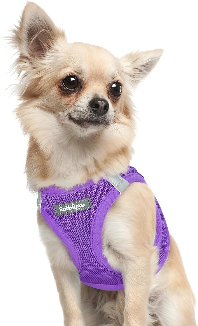 rabbitgoo Step-in Small Dog Harness, Puppy Vest for Small Sized Pet | Easy Put on and off, Lightweight, Soft, Breathable Quick-Dry Air Mesh for Comfortable Secure Walking, Purple XXXS by rabbitgoo