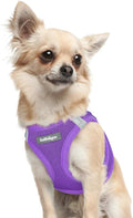 rabbitgoo Step-in Small Dog Harness, Puppy Vest for Small Sized Pet | Easy Put on and off, Lightweight, Soft, Breathable Quick-Dry Air Mesh for Comfortable Secure Walking, Purple XXXS by rabbitgoo