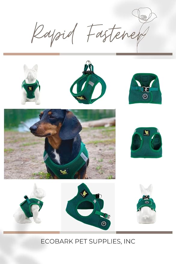 EcoBark Teacup Dog Harness, No Choke Mesh Vest, XXXS, Forest Green | Toy Breed Dog Harnesses for Tiny Dogs, Luxury Soft Step In Mini Body Halter, Puppy Harness Dog Vest Under 5 Pounds Lbs - Image 6