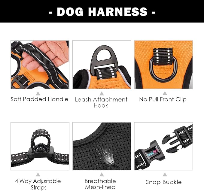 No Pull Dog Harnesses for Small Dogs Reflective Adjustable | Front Clip Vest with Handle 2 Metal Rings 3 Buckles [Easy to Put on & Take Off] (XS, Orange) - Image 5