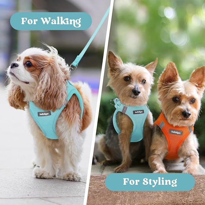 rabbitgoo Step-in Small Dog Harness, Puppy Vest for Small Sized Pet | Easy Put on and off, Lightweight, Soft, Breathable Quick-Dry Air Mesh for Comfortable Secure Walking, Mint Blue S - Image 9
