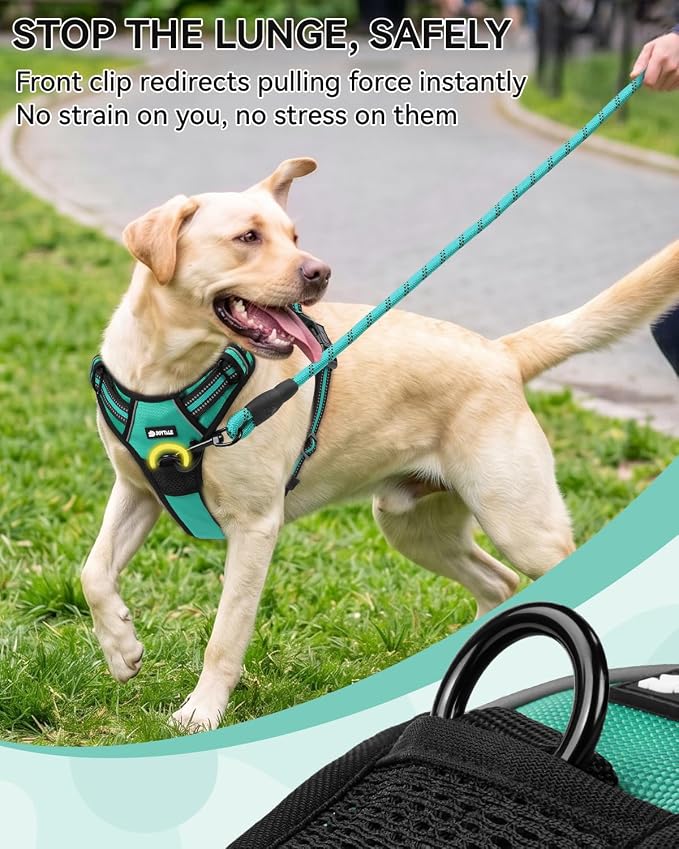 Joytale No Pull Dog Harness & Seat Belt, Easy On 3-Buckle, M, Teal | Front Clip Reduces Pulling, Escape-Resistant Design, Adjustable Fit, Soft Padding for Comfort, Secure Tether for Safer Travel - Image 4