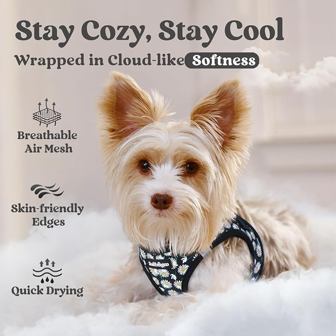 rabbitgoo Step-in Small Dog Harness, Puppy Vest for Small Sized Pet | Easy Put on and off, Lightweight, Soft, Breathable Quick-Dry Air Mesh for Comfortable Secure Walking, Midnight Daisy XXS - Image 3