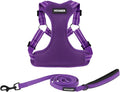 Best Pet Supplies Voyager Adjustable Step-in Flex Breathable Mesh Dog Harness for Small Medium Large Dogs Leash Set (Purple), S by BestPetSuppliesLLC