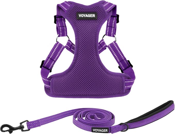 Best Pet Supplies Voyager Adjustable Step-in Flex Breathable Mesh Dog Harness for Small Medium Large Dogs Leash Set (Purple), S by BestPetSuppliesLLC