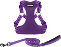 Best Pet Supplies Voyager Adjustable Step-in Flex Breathable Mesh Dog Harness for Small Medium Large Dogs Leash Set (Purple), XL by BestPetSuppliesLLC