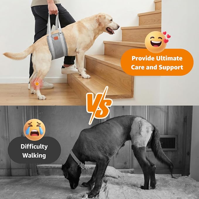 LOOBANI Dog Sling for Extra Large Dogs Hind Leg Support Weak Rear Leg Aid | Walking & Stair Assistance, Senior Dog Mobility, Padded Comfort, Adjustable Fit, Lightweight Nylon, Soft Plush Lining - Image 2
