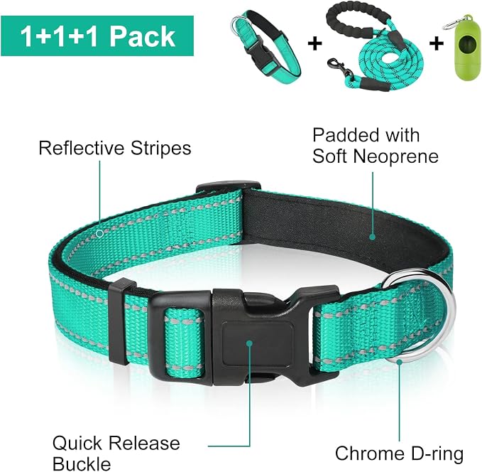 Dynmeow Reflective Dog Collar and Leash Set for Puppy Small Dogs, Teal | Soft Neoprene Padded, 6FT Climbing Rope, Ideal for Daily Outdoor Walking or Indoor Wearing, Night Visible for Safety - Image 2