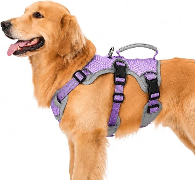 Escape Proof Dog Harness, Dachshund Harness, Reflective Dog Harness with Handle, Durable,Adjustable Vest for Small Medium Large Dogs Walking, Training, and Running Gear (Lavender Purple,L) by Huntboo