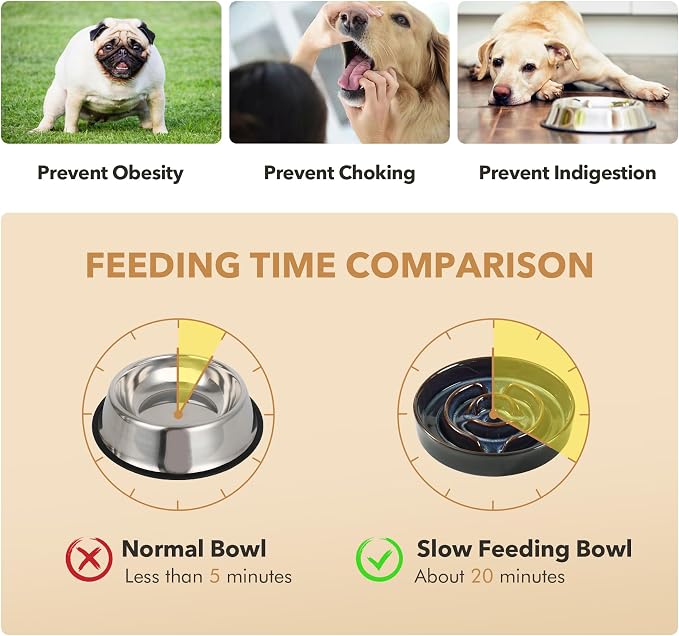 Havniva Raised Slow Feeder Dog Bowls, Elevated Dog Bowls Slow Feeder | 1.6 Cups Ceramic Dog Bowl Elevated with Acacia Wood Stand, Raised Dog Food Bowl, Puzzle Slow Feeder for Medium Dogs, Non-Slip - Image 5