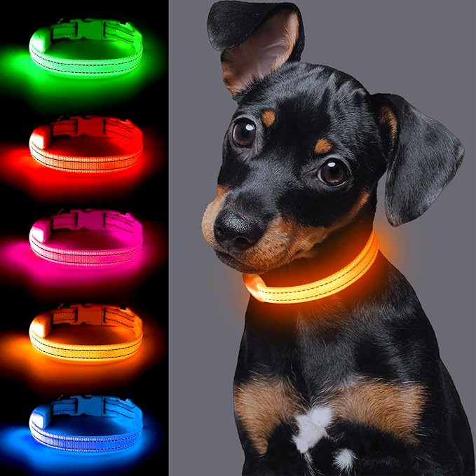 Light up Dog Collar for Small Dog,Vizpet XS Adjustable Size Nylon Collar USB Rechargeable Bright Safety Pet Collar for Cats Dogs (Orange) - Image 2