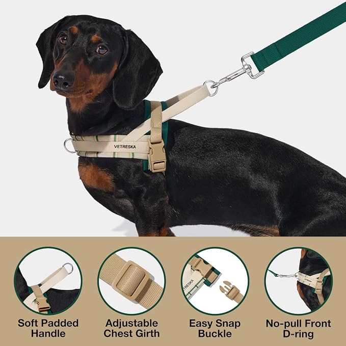VETRESKA Dog Harness and Leash Set, Easy Walk Dog Harness, M | for Small Medium Dogs, No Pull Puppy Harness for Walking and Training, Adjustable, Anti-Twist Leash (Santal Forest) - Image 4