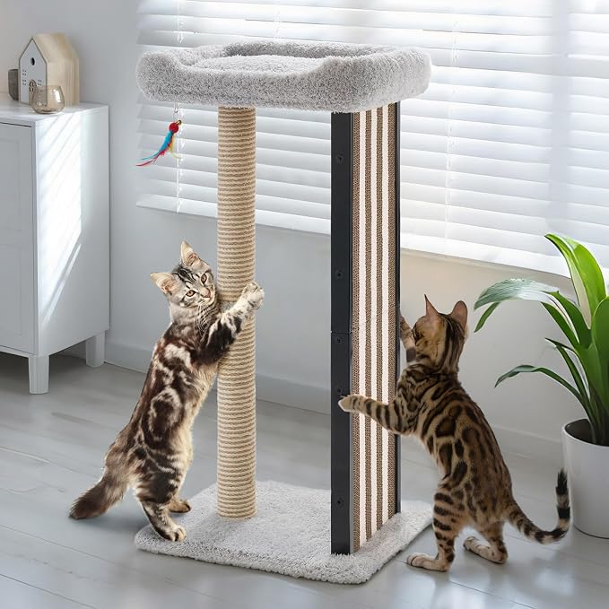 Veehoo 35" Tall Cat Scratching Post for Indoor Cats, Sturdy Cat Scratch Pad | Scratch Post with Plush Top Bed & Replaceable Metal Frame Scratching Board, Easy assembly by Veehoo