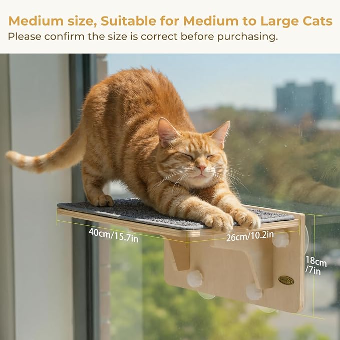 Pecute 2-in-1 Cat Window Perch & Wall Shelves, Cat Hammock Window 16"x10" | Solid Wood Frame, Strong Suction Cups, Washable Cover Mat, Window Bed for Kitten, Indoor Cats, Window Seat for Birds Watching - Image 3