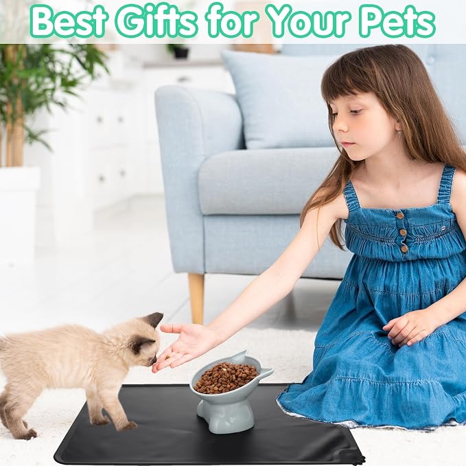 3 Pcs Raised Cat Bowl 15° Elevated Cat Food Bowl Tilted Cats Bowls | Anti Vomiting Cats Dishes Pet Food and Water Bowls for Indoor Cats and Small Dogs - Image 6