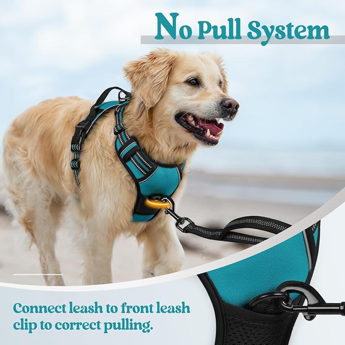 rabbitgoo Dog Harness, No Pull Medium Sized with 2 Leash Clips, Pet Vest | No Choke with Handle, Adjustable Soft Padded, Reflective, Easy Control for Walking, Teal, Medium - Image 5