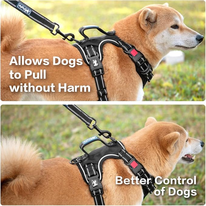 PoyPet No Pull Dog Harness with 3 Leash Clips and Vertical Handle | No Choke, Reflective, Adjustable, Soft Padded, Dog Vest for Large Dogs, Walking Training, Black, L - Image 5