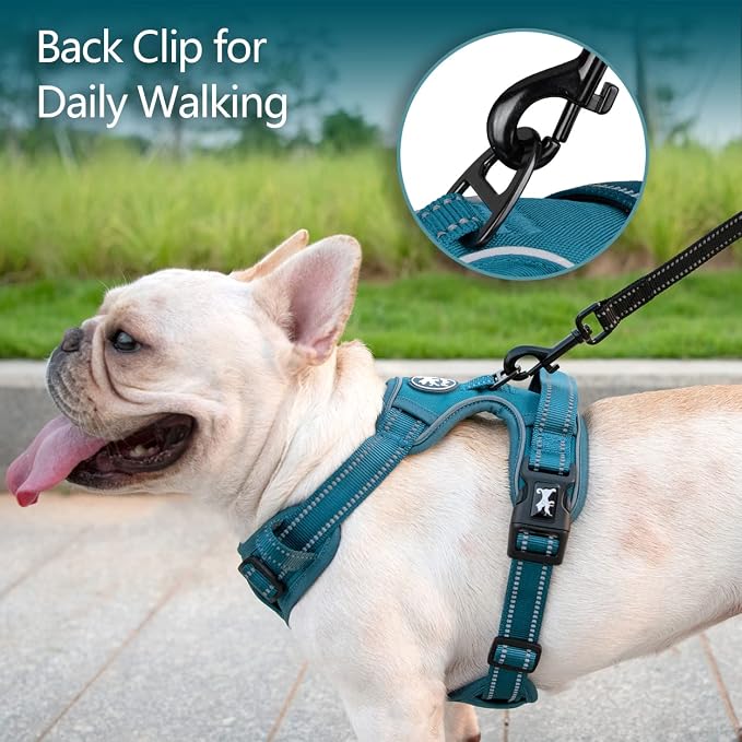 PoyPet No Pull Dog Harness, Reflective Vest with 2 Leash Clips & Handle | Lockable Neck Release Buckle, No Choke, Adjustable, Soft Padded, for Walking Training, Tumalo Teal, Large - Image 7