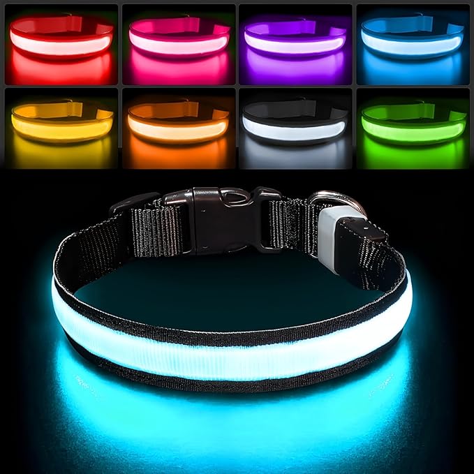 PcEoTllar Light up Dog Collar, Safe for Night Walking, Adjustable, Black, M | Colorful RGB Light, Waterproof, For Small Medium and Large Dogs, Durable Material, USB to Charge by PcEoTllarPetSupplies