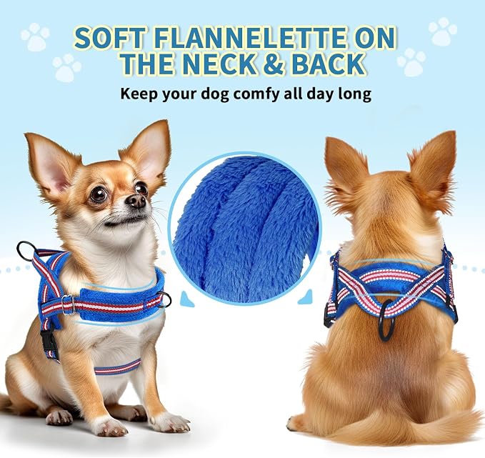 SlowTon No Pull Small Dog Harness and Leash Set with Front Clip | Soft Padded, Neck & Chest Adjustable, Lightweight, Anti-Twist, Puppy Vest Harness Pet Lead Combo for Small Medium Dog DBL XXS - Image 2