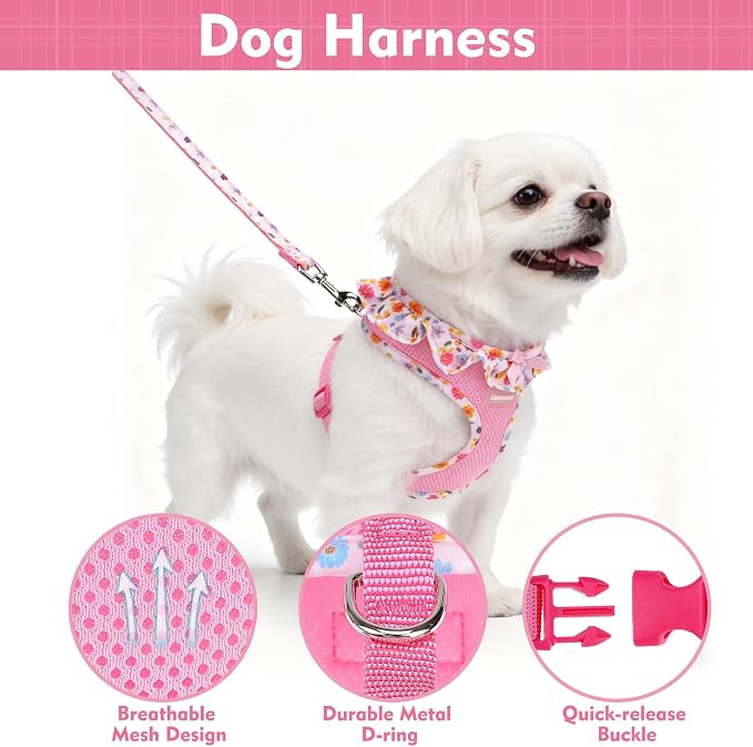 EXPAWLORER Step-in Dog Harness Small Sized and Leash Set | Cute Small Dog Harness No Pull Girl, Breathable Soft Mesh Padded, Adjustable Light Puppy Vest for Dogs Cats, Floral XS - Image 3