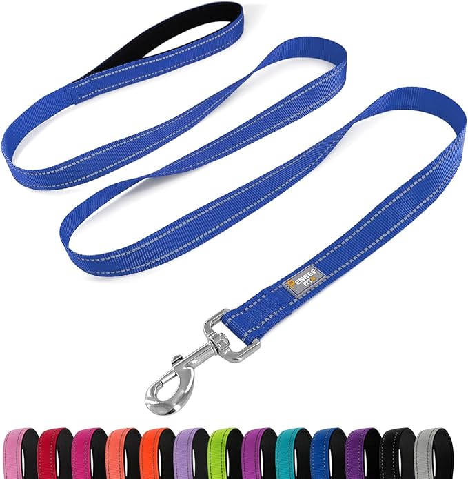 6 FT Basic Dog Leash for Small Dogs,Padded Handle,Blue | Padded Handle,Metal D-Ring,Heavy Duty Nylon Webbing, for Walking & Training by Penseepet