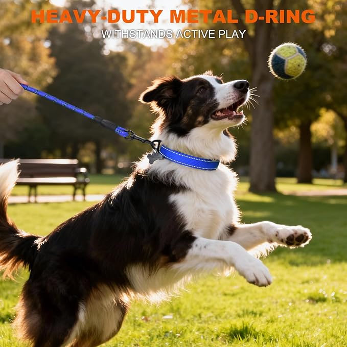 Taglory Reflective Dog Collar for Medium Dogs, Soft and Safe for Daily Walk | Soft Neck Cushioning, Adjustable 14-20 in, Sturdy Webbing Withstands Strong Pullers, Zinc Alloy D-Ring for Leash and ID Tags - Image 6