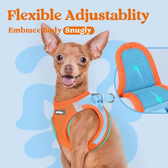 rabbitgoo Step-in Small Dog Harness, Puppy Vest for Small Sized Pet | Easy Put on and off, Lightweight, Soft, Breathable Quick-Dry Air Mesh for Comfortable Secure Walking, Blue & Orange M - Image 8