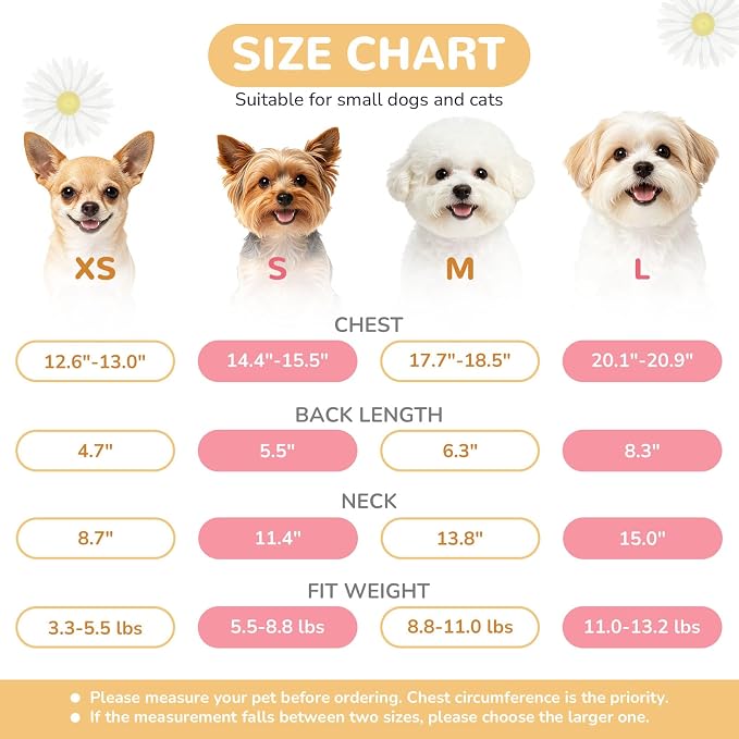 BAEJMJK Dog Harness and Leash Set with Bow Knot No Pull Pet Daisy Floral Harness with D-Ring Soft Mesh Dog Harness Vest Set Escape Proof Princess Puppy Harness for Small Girl Dogs Cats（Blue B S） - Image 4