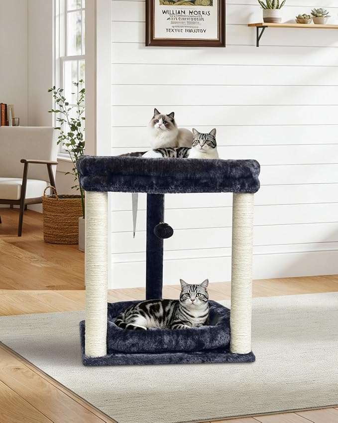 SYANDLVY Small Cat Tree for Indoor Cats with 2 Levels Perch Platforms | Natural Sisal Scratching Post Tower with Hanging Bell Ball & Anti-Tip Strap, Stable Cat Perch Furniture for Kittens, Smoky - Image 7