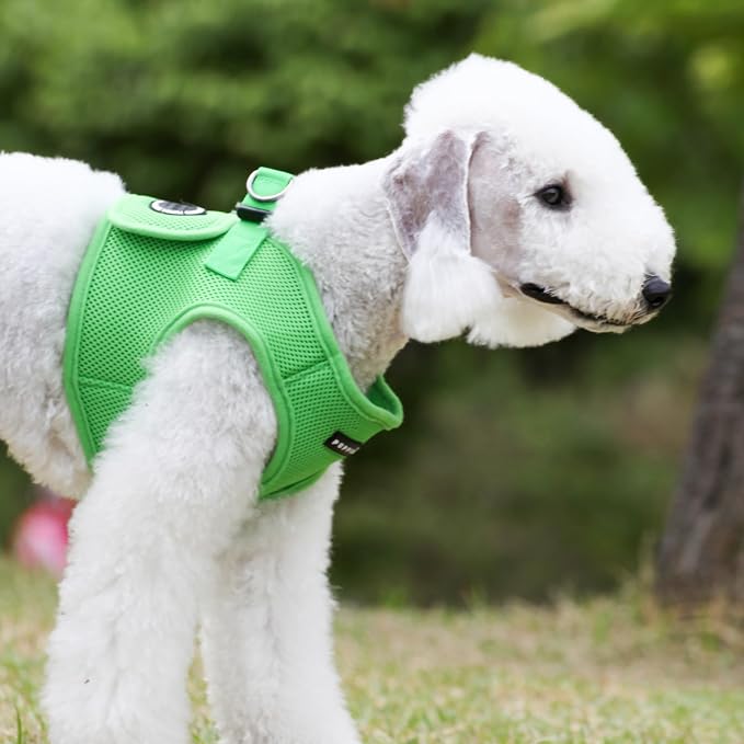PUPPIA International Harness Soft B Vest, X-Small, Green - Image 4