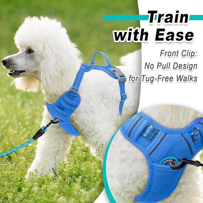BARKBAY Dog Harness for Small Sized Dog No Pull Mesh 2 Clips Dog Vest | Control Handle,Comfort,Heavy Duty,Adjustable Reflective,Perfect for Outdoor Training, Walking,Hiking(XS,Blue Mesh) - Image 2