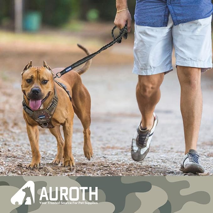 AUROTH Heavy Duty Bungee Dog Leash for Shock Absorption - 6FT Black Training Leash with 2 Padded Handles for Medium Large Breed Dogs - Image 6