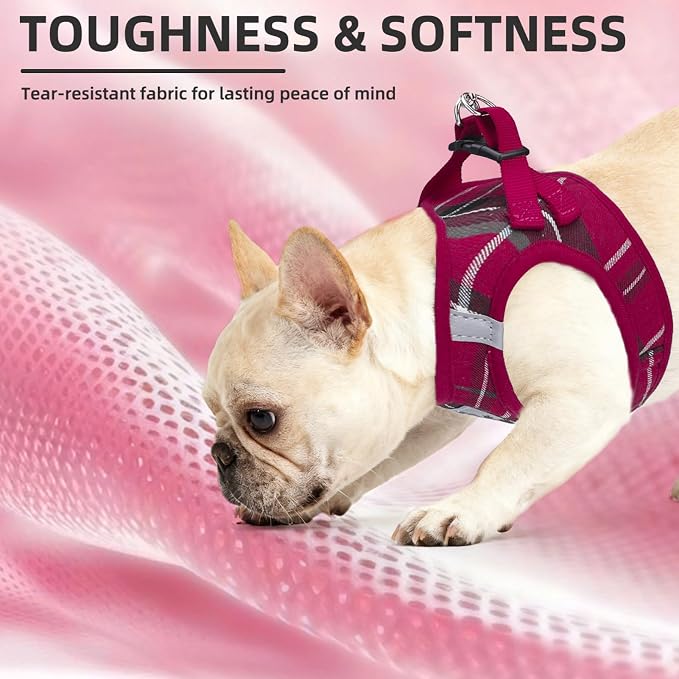 PUPTECK Dog Harness, Collar and Leash Set No Pull for Small Medium Sized | Plaid Puppy Step-in Escape Proof Reflective No Choke Pet Cat Adjustable Walking Vest - Image 6