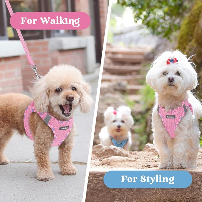 rabbitgoo Step-in Small Dog Harness, Puppy Vest for Small Sized Pet | Easy Put on and off, Lightweight, Soft, Breathable Quick-Dry Air Mesh for Comfortable Secure Walking, Pink & Plaid Trim M - Image 9