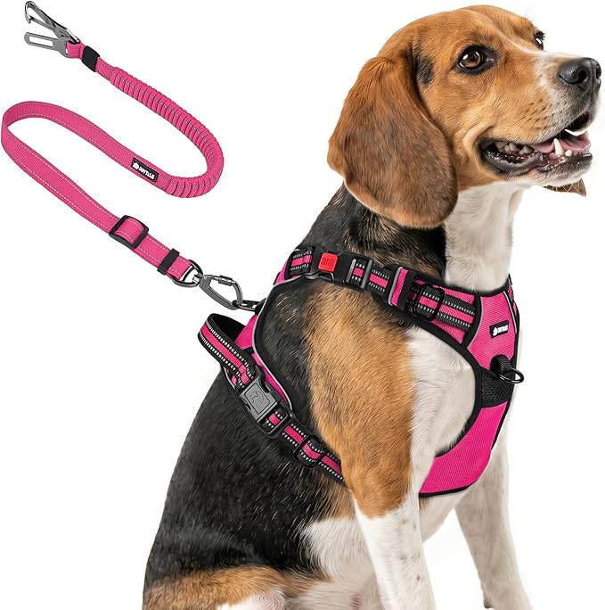 Joytale No Pull Dog Harness & Seat Belt, Easy On 3-Buckle, M, Hot Pink | Front Clip Reduces Pulling, Escape-Resistant Design, Adjustable Fit, Soft Padding for Comfort, Secure Tether for Safer Travel by Joytale