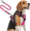 Joytale No Pull Dog Harness & Seat Belt, Easy On 3-Buckle, M, Hot Pink | Front Clip Reduces Pulling, Escape-Resistant Design, Adjustable Fit, Soft Padding for Comfort, Secure Tether for Safer Travel by Joytale