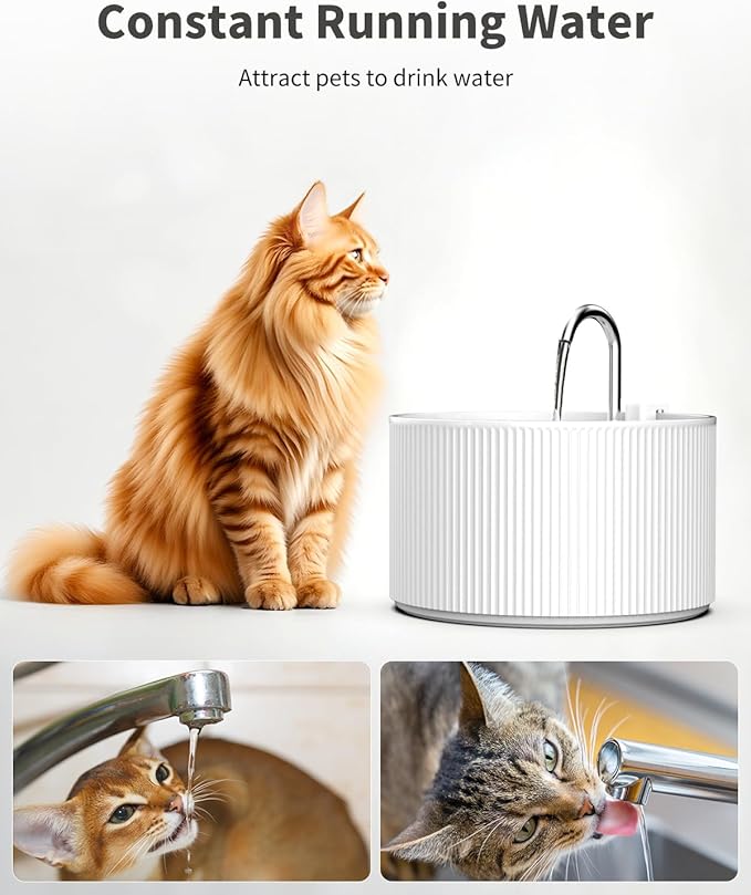 Lawfery Ceramic Cat Water Fountain, 74oz/2.2L Pet Drinking Fountain | BPA-Free Ceramic Body, Ultra-Quiet Pump, Easy Cleaning and Dual Drinking Modes for Indoor Cats and Small Dogs - Image 5
