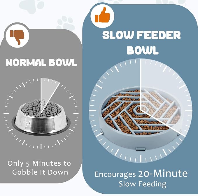 WHIPPY Slow Feeder Dog Bowl, Puzzle Maze Design to Slow Down Eating, 3-Cup Capacity, Anti-Gulping Food Bowl for Medium & Large Dogs,Blue - Image 4